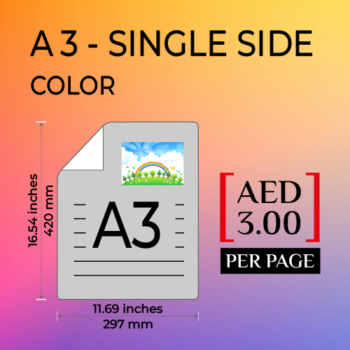 A3 SINGLE SIDE DOCUMENTS PRINT (COLOR)